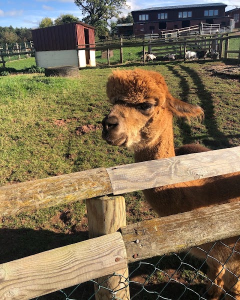 Hoar Park Children's Farm