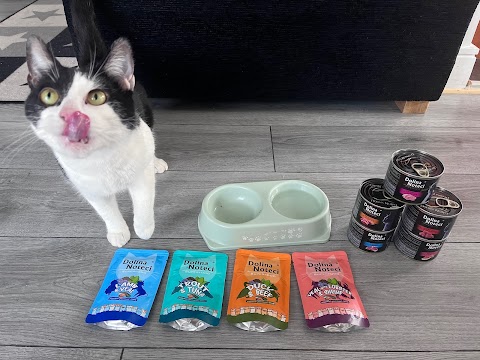 Yummy Pet’s Food