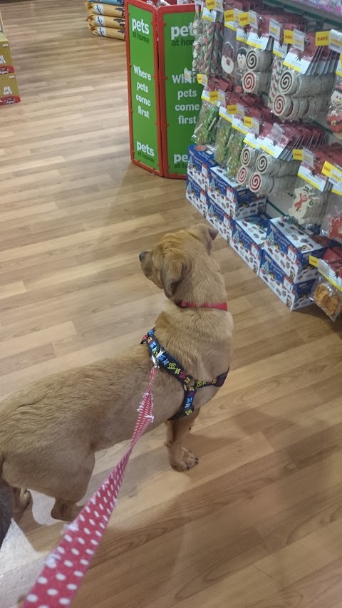 Pets at Home Nuneaton