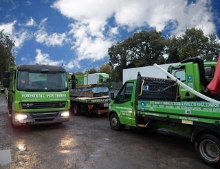 Forestrall Ltd Timber Merchants