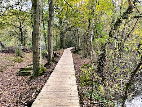 Hilton Gravel Pits Local Nature Reserve