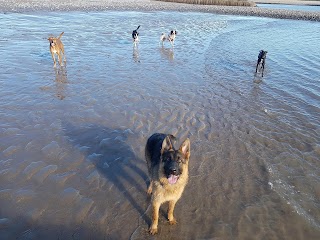 Weavers Walkies Buddies