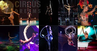 Circus Dreams Entertainment Agency and School of Aerial and Acrobatic Arts