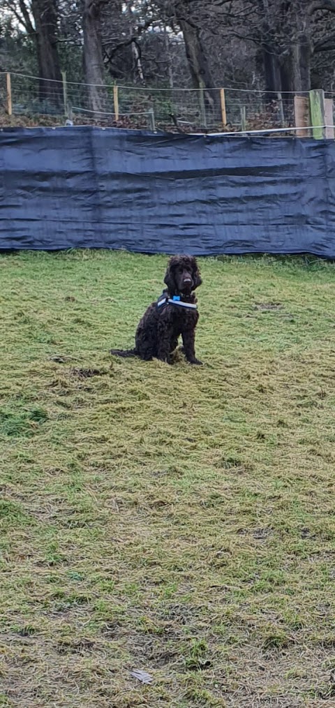 Rivelin Valley Dog Park