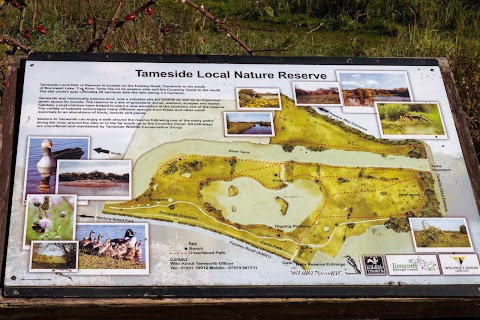 Tameside Local Nature Reserve