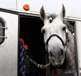 Horsebox Insurance