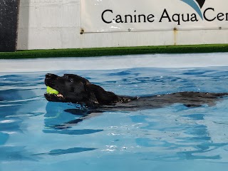 Canine Aqua Centre