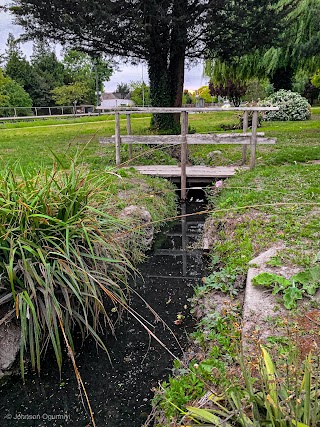 Simmonds Mead Open Space