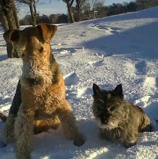 Craig Barr Grooming