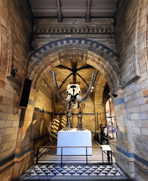 Natural History Museum