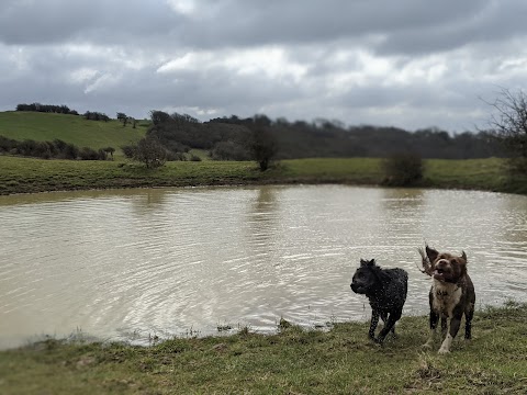 Malling Down Nature Reserve, Sussex Wildlife Trust