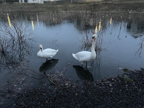 Malls Mire Community Woodland