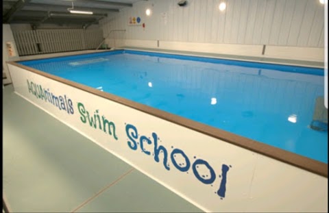 AQUAnimals Swim School Ltd
