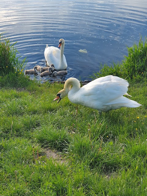 Dams to Darnley Country Park