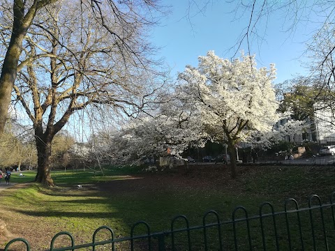 Roath Pleasure Gardens