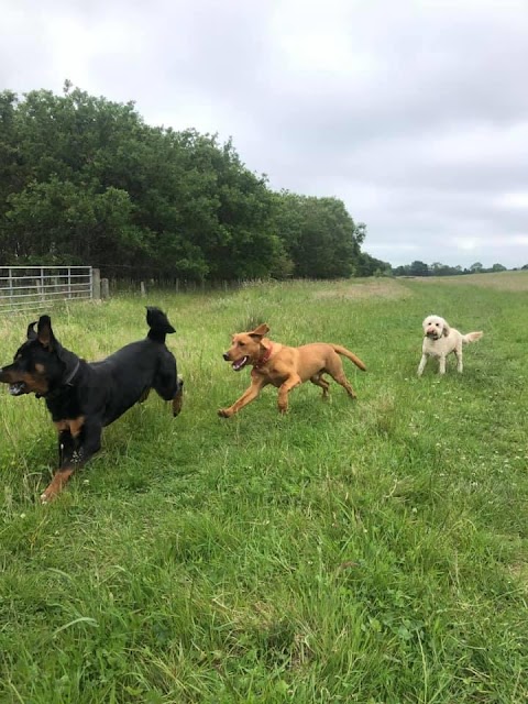 Happy Tails of East Lothian