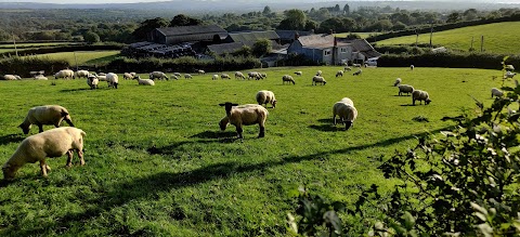 Brynawel Farm