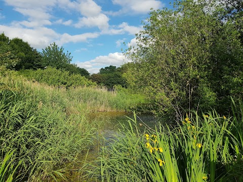 Brocks Hill Country Park