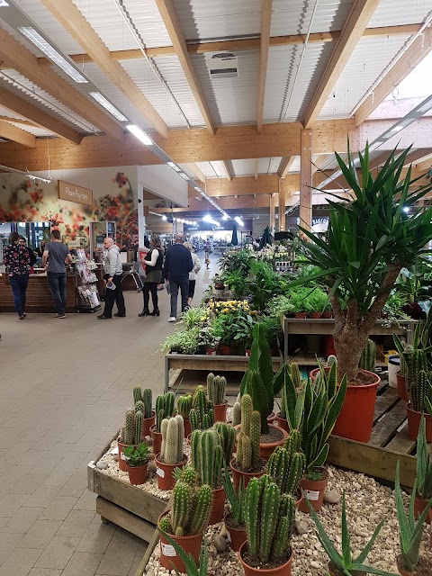 Dobbies Garden Centre Aberdeen