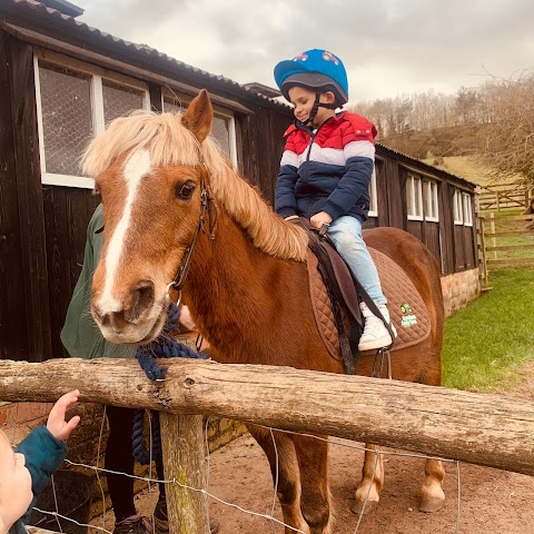 Stonehurst Family Farm and Motor Museum