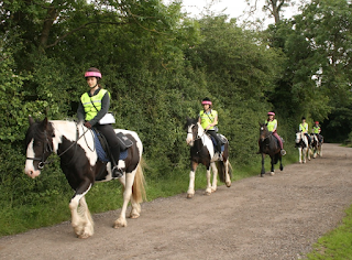 Mere Lane Riding School