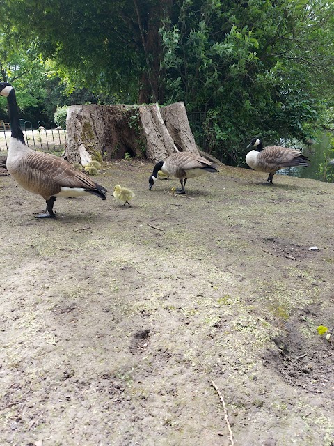 Clockhouse Gardens