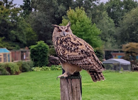 Huxley's Birds of Prey Centre and Gardens