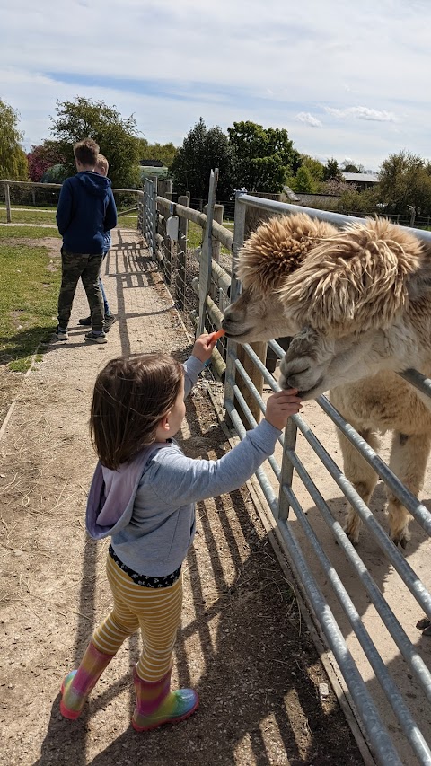 Church Farm Tea Rooms & Childrens Farm