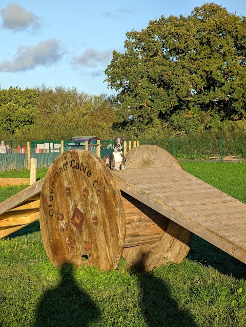 Off the Leash Dog Parks