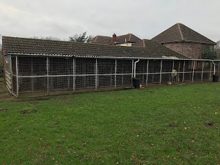 Newdowns Boarding Kennels and Cattery