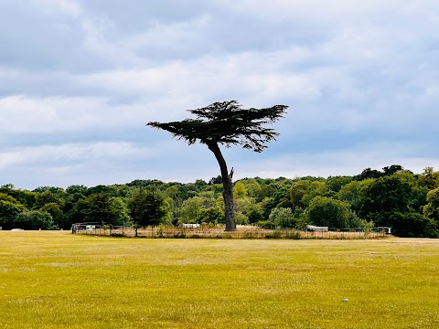 Cassiobury Park