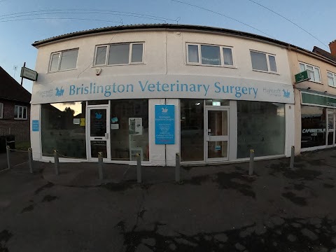 Brislington Veterinary Surgery