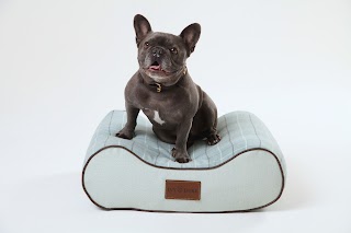 Ivy & Duke - Luxury Dog Beds