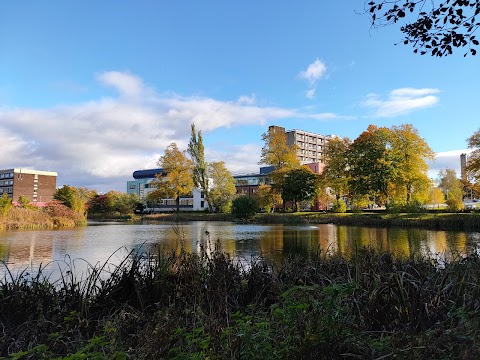 Bingham's Pond