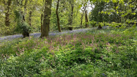 National Trust - Stoneywell