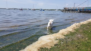 Strides Boatyard