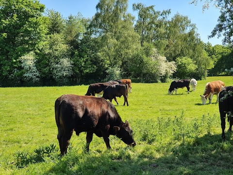 Marbury Country Park