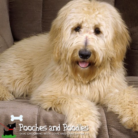 Pooches'n'Poodles Dog Grooming