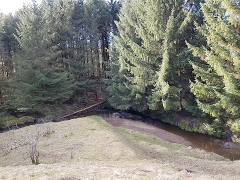 Cumbernauld Glen Wildlife Reserve