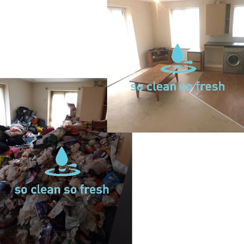 So Clean So Fresh Cleaning Services