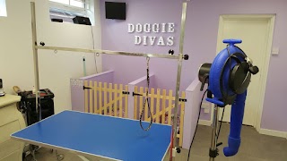 Doggie Divas Dog Grooming Salon