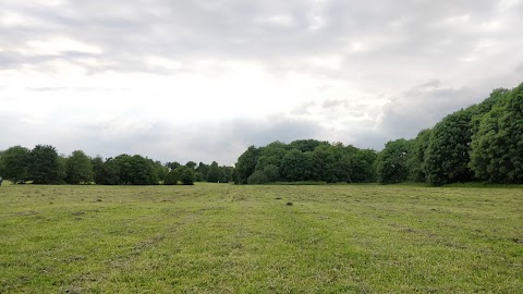 Hillfield Nature Reserve