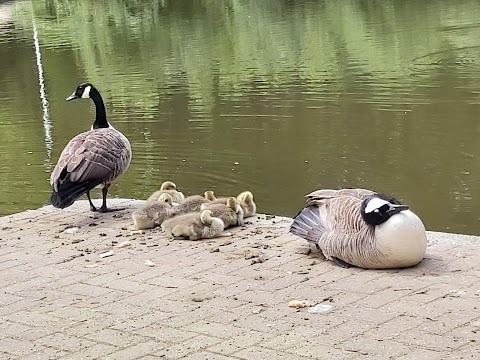 Lightwater Country Park