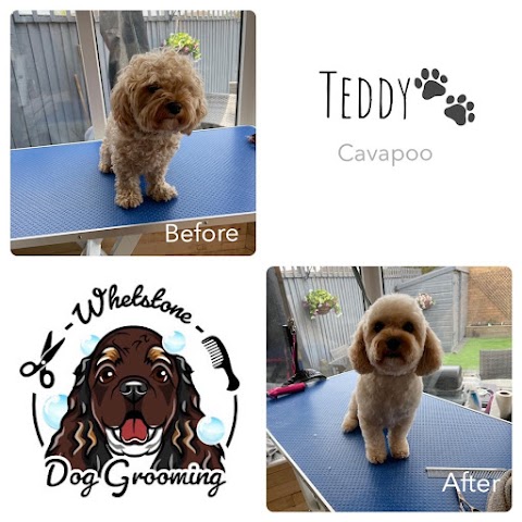 Whetstone Dog Grooming