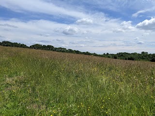 Beacon Country Park