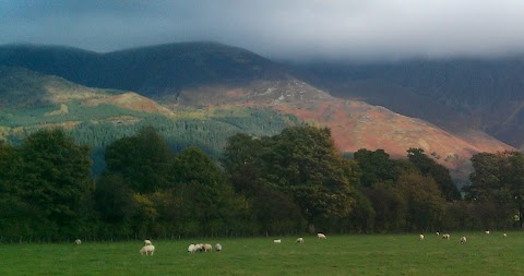 Windy Dales Cottage