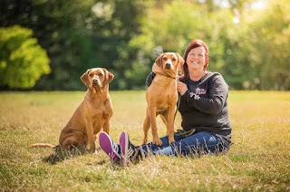 We Love Pets Grays - Dog Walker, Pet Sitter & Home Boarder