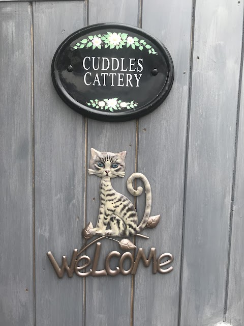 Cuddles Cattery