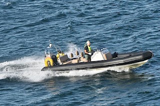 Mourne Sea Tours