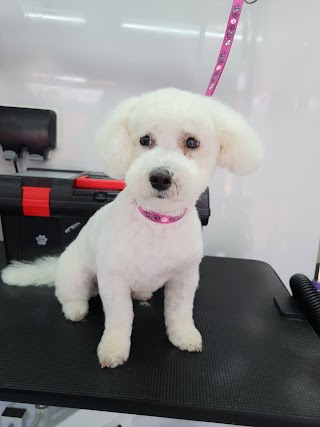 The Pooch Palace Dog Grooming